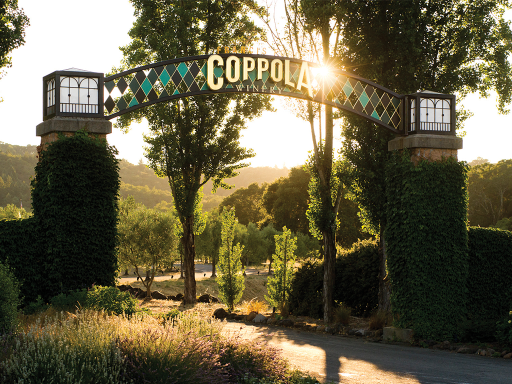 Francis Ford Coppola Winery's Head Winemaker Talks Entertaining (& of Course, Vino)